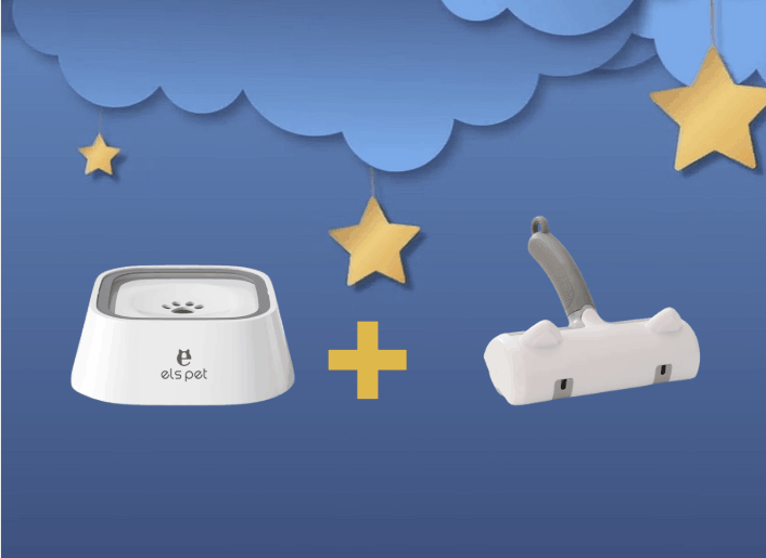 Ramadan Offer 🌙🕌